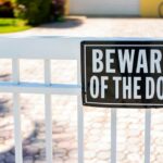 Dog Bites Injury Attorney | Jupiter, FL | Call 561-835-5555